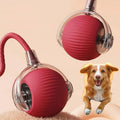 Motion Rolling Dog Ball Toy with Tail Attachment