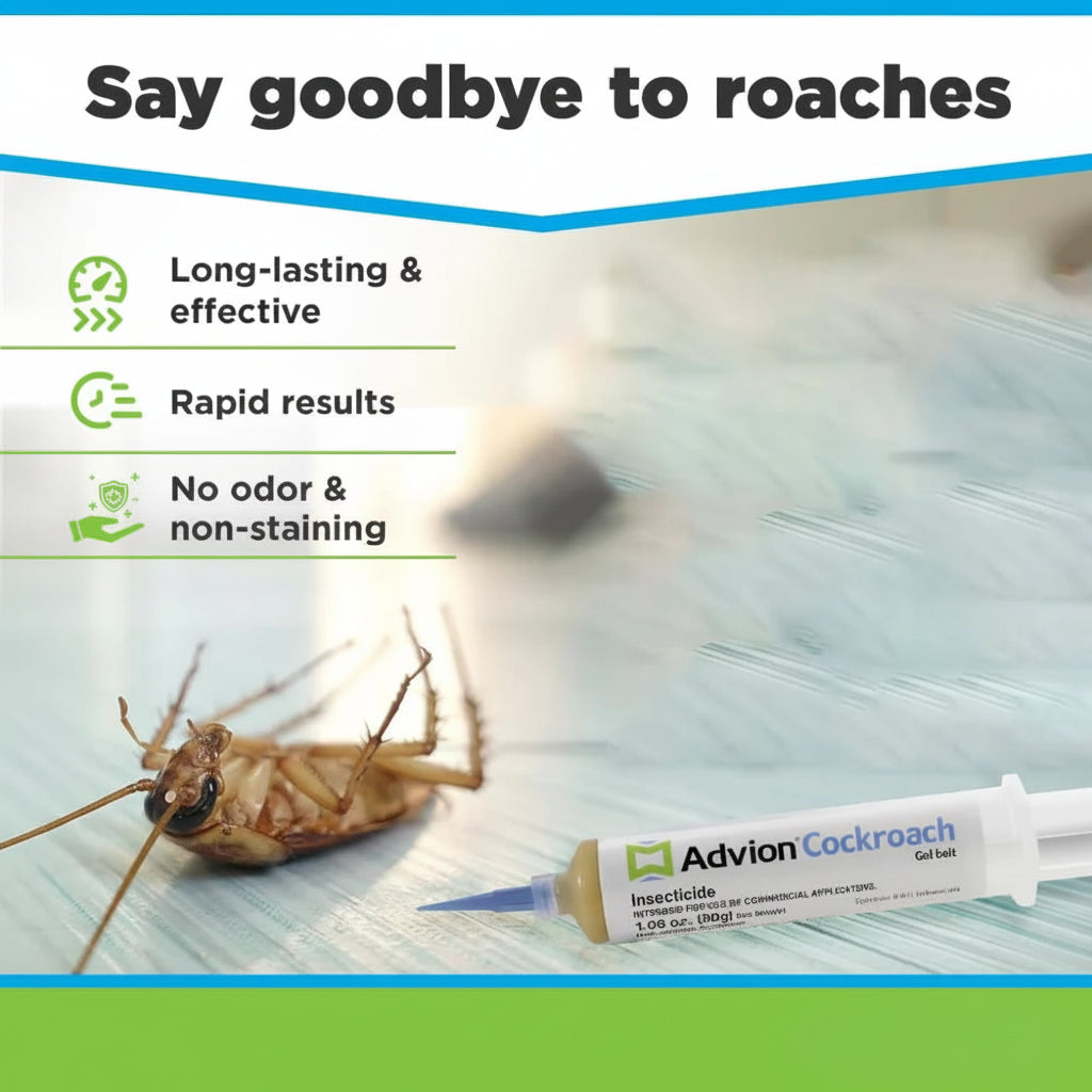 Indoor Cockroach Control Gel Syringe