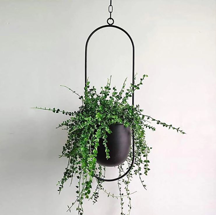 Stylish Plant Hanger | Durable Metal Hanging Baskets for Indoor & Outdoor Decor