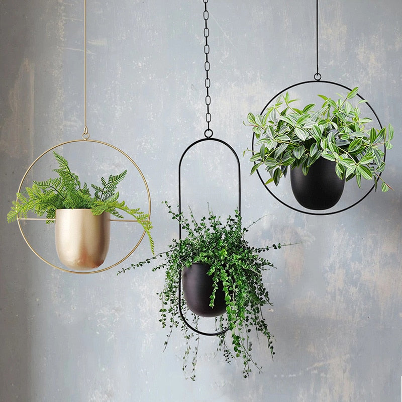 Stylish Plant Hanger | Durable Metal Hanging Baskets for Indoor & Outdoor Decor