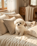 Realistic teddy dog plush puppy on bed, lifestyle